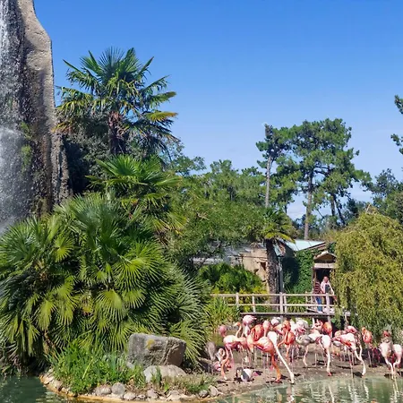 4 Bedroom Awesome In Holiday home *